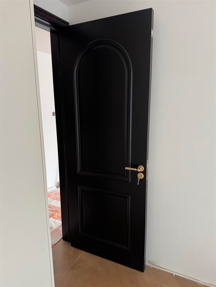 Solid Wood Back Door price